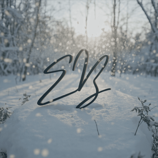 Goede intenties voor wie baas wil zijn over zijn energie - Energiebazen