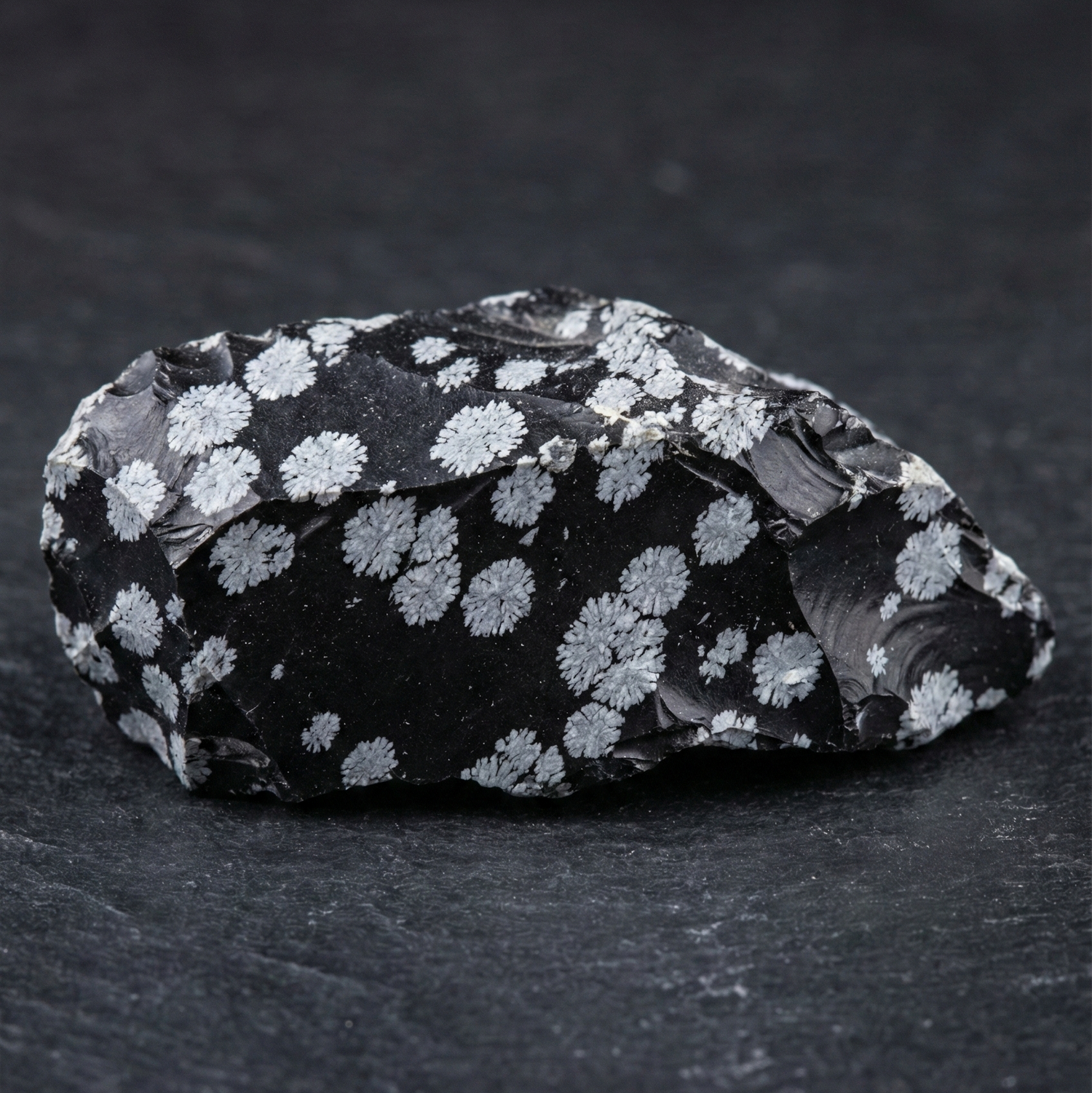 Sneeuwvlok Obsidiaan